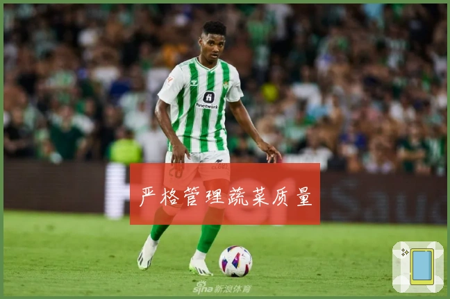 严格管理蔬菜质量