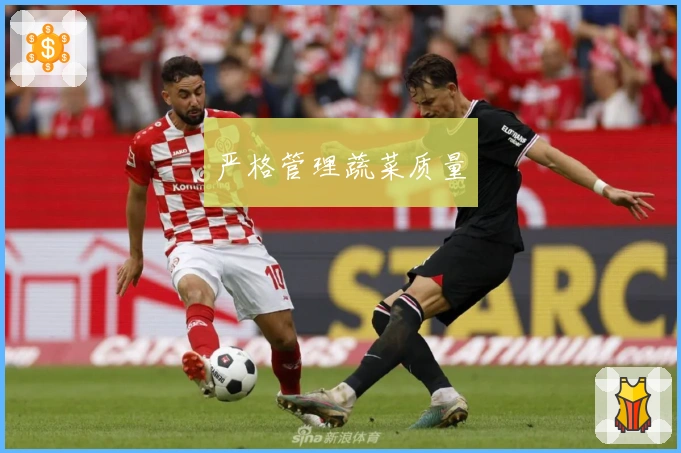 严格管理蔬菜质量