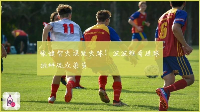 张健智失误致失球！波波维奇进球挑衅观众染黄